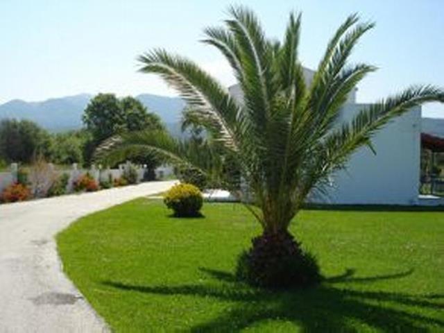 Blue Gardens Apartments Roda (Corfu) Exterior foto